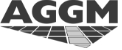 Leiter Finanzen Austrian Gas Grid Management AG (AGGM)