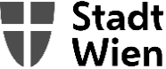 CIO der Stadt Wien