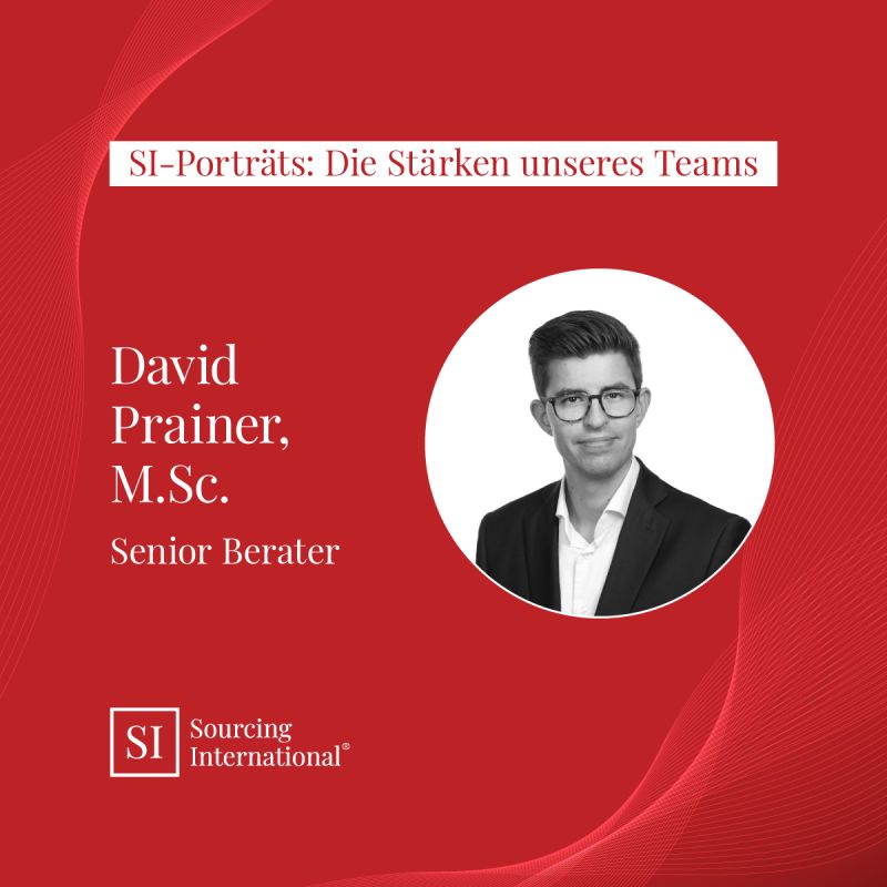 SI-Porträts: die Stärken unseres Teams