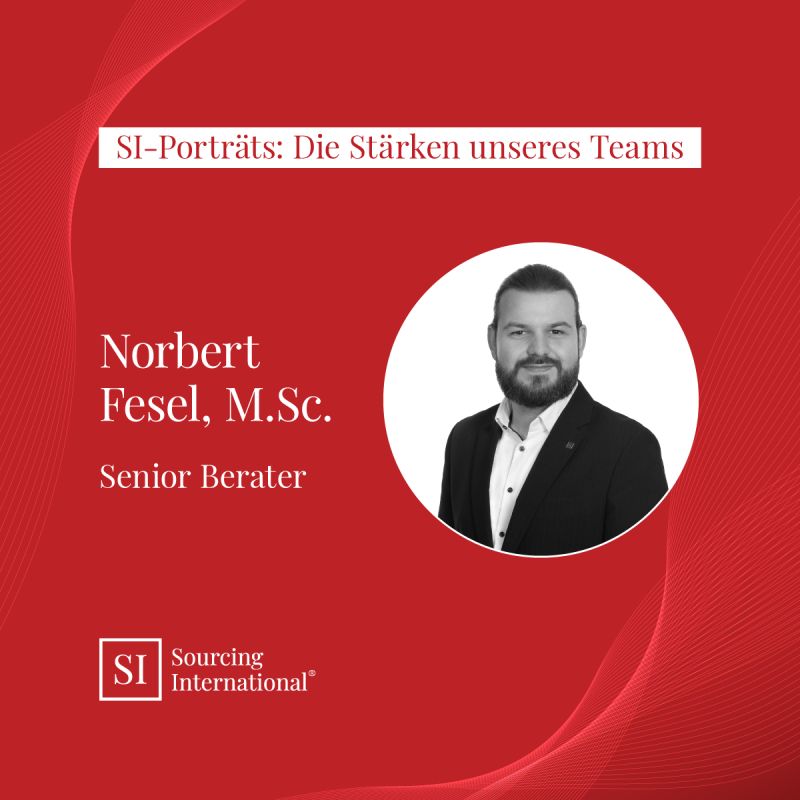 SI-Porträts: Die Stärken unseres Teams
