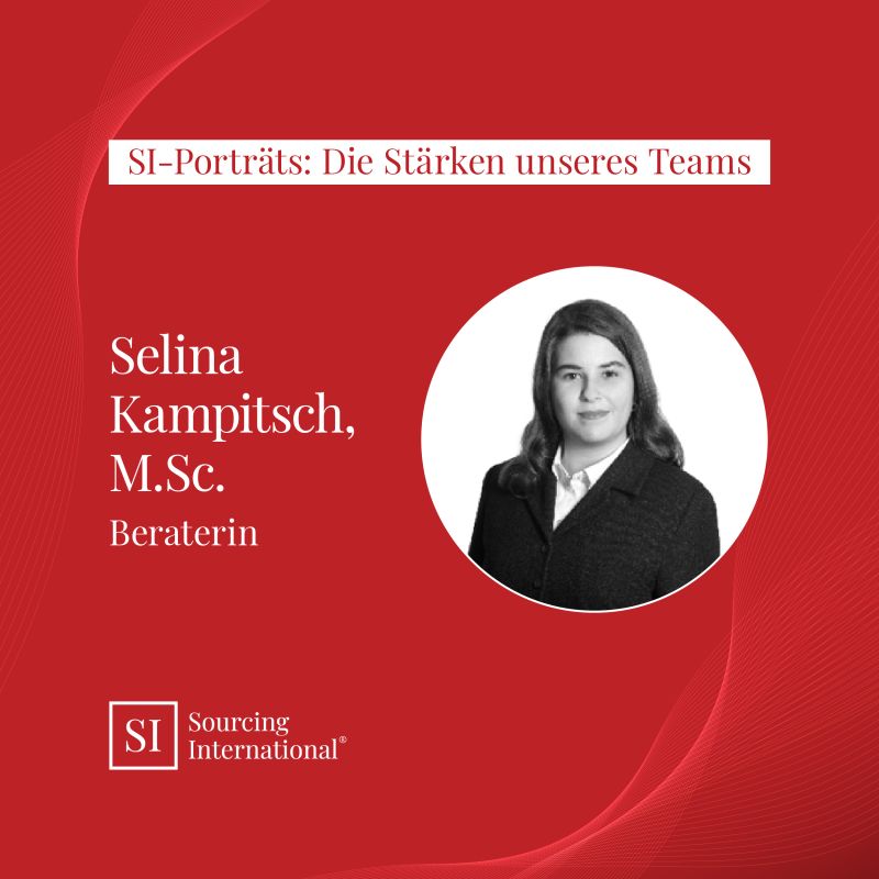 SI-Porträts: Die Stärken unseres Teams