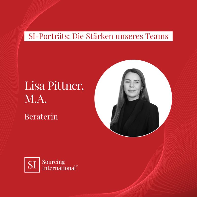 SI-Porträts: Die Stärken unseres Teams
