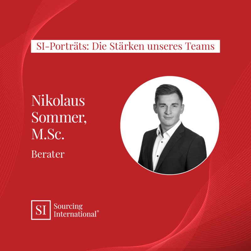 SI-Porträts: Die Stärken unseres Teams