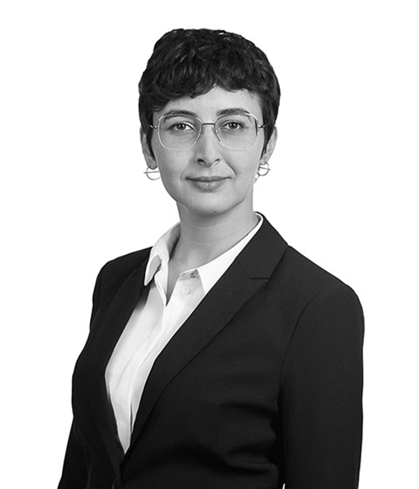 Ayett Dhaoui, B.Sc.